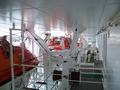 100_1161.jpg